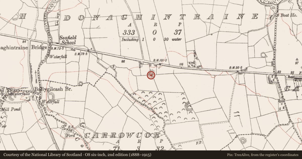 Ordnance Survey six-inch map, 2nd edition (1888–1915) covering the location of Ringfort - rath, Donaghintraine, County Sligo, with a pin at the register's coordinates
