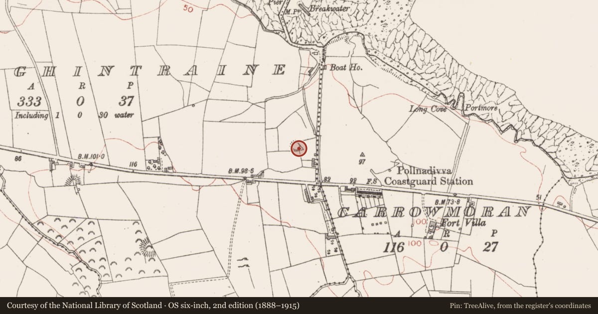 Ordnance Survey six-inch map, 2nd edition (1888–1915) covering the location of Ringfort - rath, Donaghintraine, County Sligo, with a pin at the register's coordinates