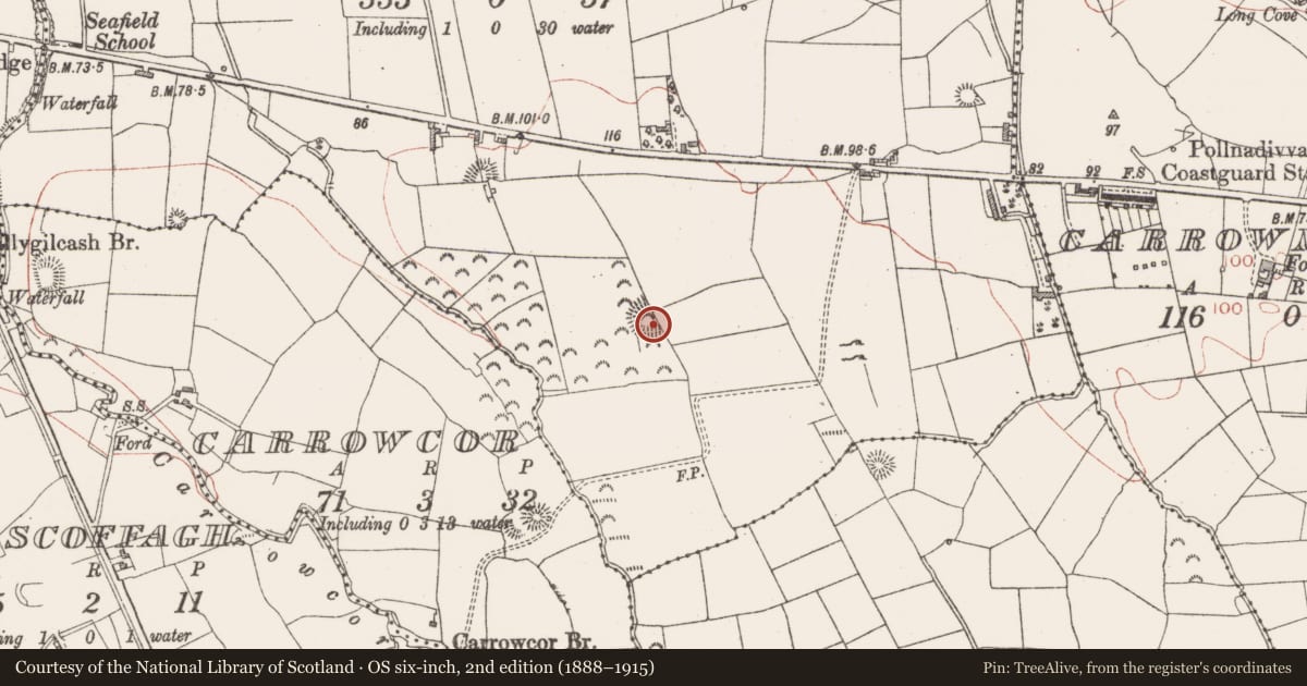Ordnance Survey six-inch map, 2nd edition (1888–1915) covering the location of Ringfort - rath, Donaghintraine, County Sligo, with a pin at the register's coordinates