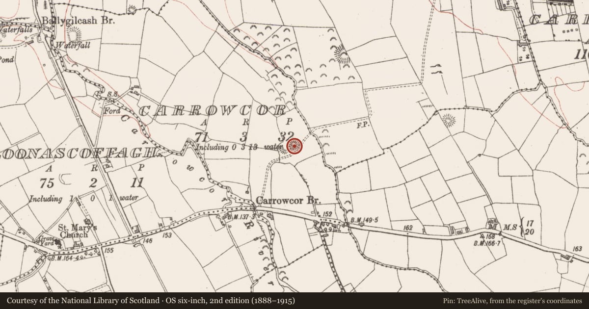 Ordnance Survey six-inch map, 2nd edition (1888–1915) covering the location of Ringfort - rath, Carrowcor, County Sligo, with a pin at the register's coordinates