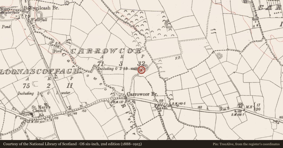 Ordnance Survey six-inch map, 2nd edition (1888–1915) covering the location of Enclosure, Carrowcor, County Sligo, with a pin at the register's coordinates