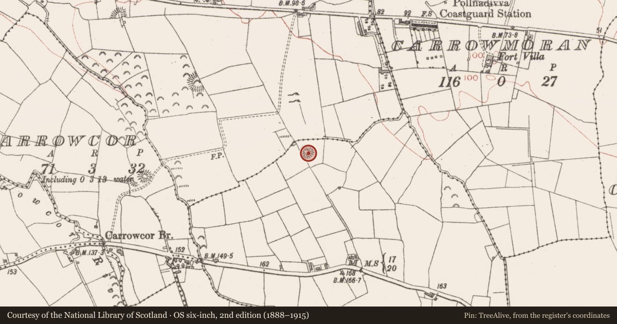 Ordnance Survey six-inch map, 2nd edition (1888–1915) covering the location of Ringfort - rath, Ballyeeskeen, County Sligo, with a pin at the register's coordinates