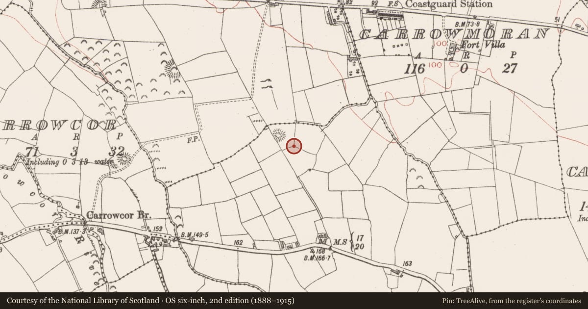 Ordnance Survey six-inch map, 2nd edition (1888–1915) covering the location of Mound, Ballyeeskeen, County Sligo, with a pin at the register's coordinates