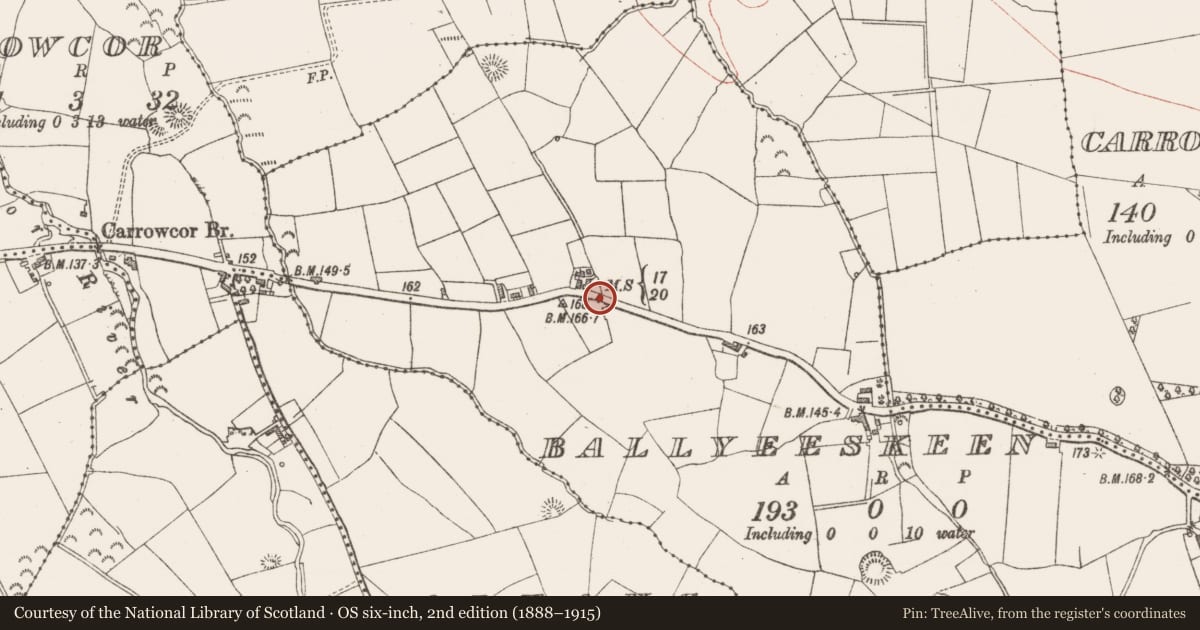 Ordnance Survey six-inch map, 2nd edition (1888–1915) covering the location of Cist, Ballyeeskeen, County Sligo, with a pin at the register's coordinates