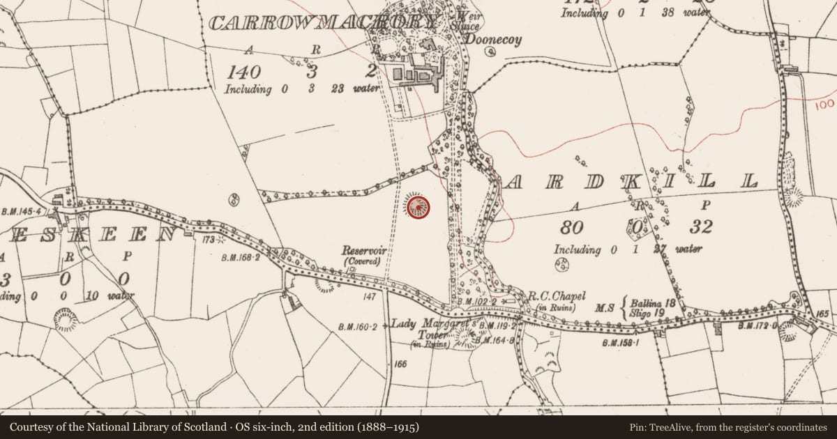 Ordnance Survey six-inch map, 2nd edition (1888–1915) covering the location of Ringfort - rath, Carrowmacrory, County Sligo, with a pin at the register's coordinates
