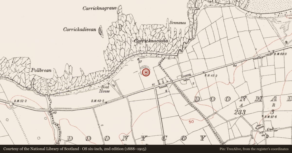 Ordnance Survey six-inch map, 2nd edition (1888–1915) covering the location of Ringfort - rath, Doonycoy, County Sligo, with a pin at the register's coordinates