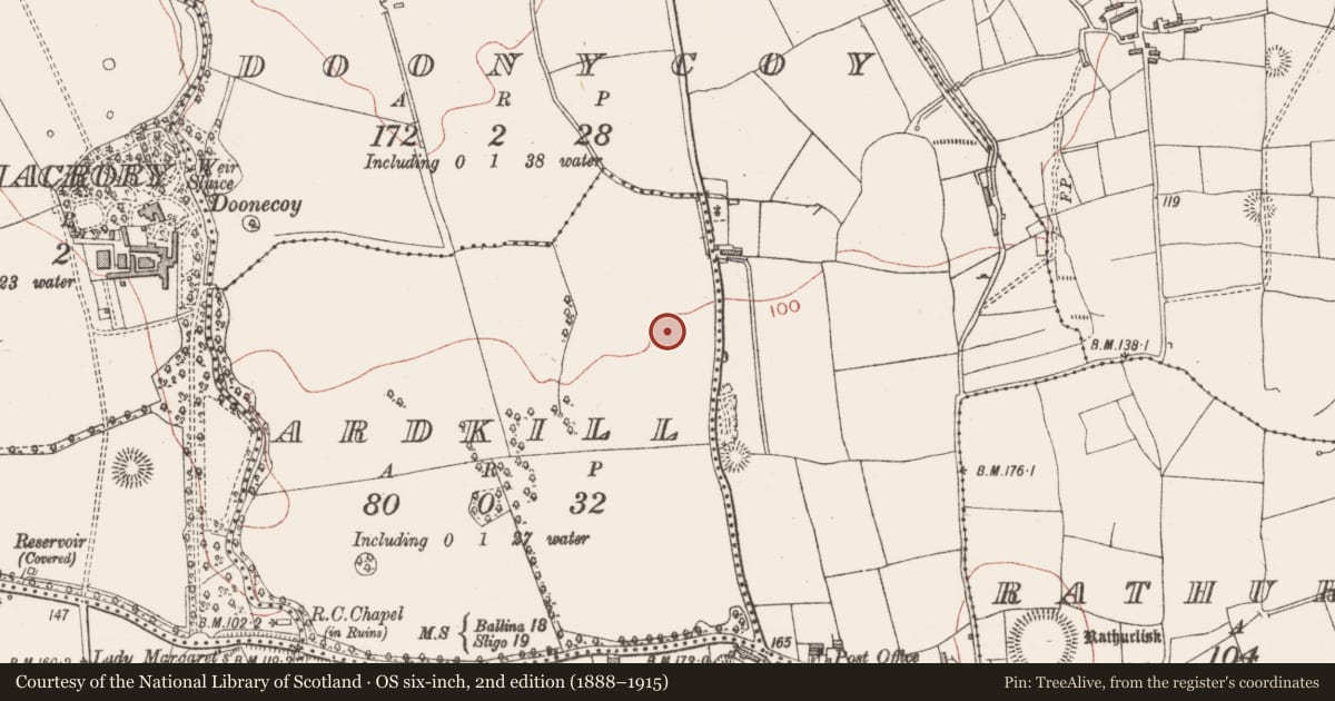 Ordnance Survey six-inch map, 2nd edition (1888–1915) covering the location of Designed landscape - tree-ring, Ardkill, County Sligo, with a pin at the register's coordinates