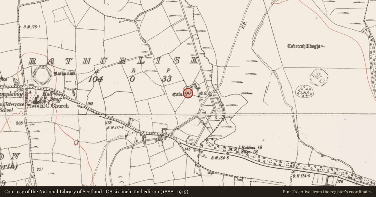Ordnance Survey six-inch map, 2nd edition (1888–1915) covering the location of Ringfort - rath, Rathurlisk, County Sligo, with a pin at the register's coordinates