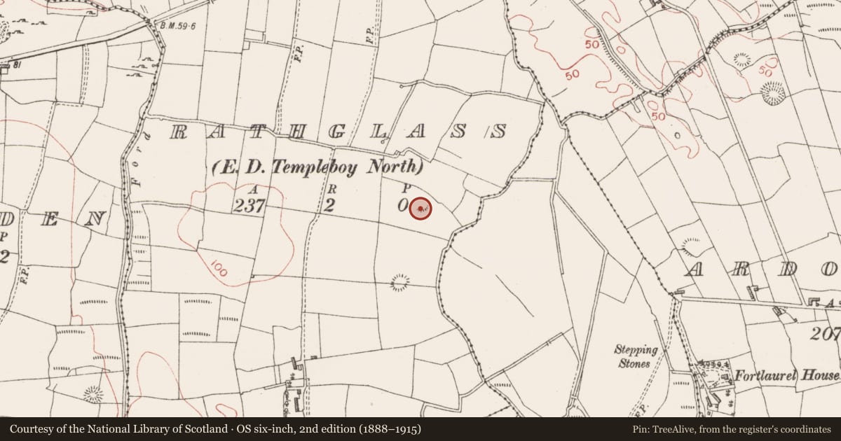 Ordnance Survey six-inch map, 2nd edition (1888–1915) covering the location of Enclosure, Rathglass, County Sligo, with a pin at the register's coordinates