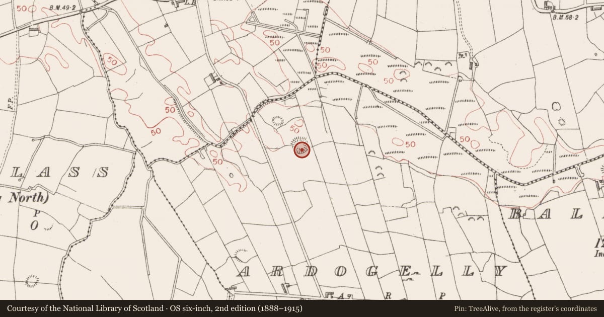 Ordnance Survey six-inch map, 2nd edition (1888–1915) covering the location of Ringfort - rath, Ardogelly, County Sligo, with a pin at the register's coordinates