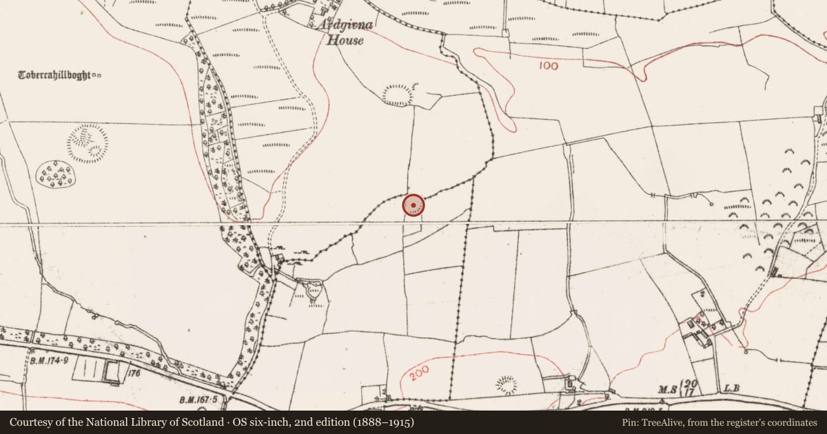 Ordnance Survey six-inch map, 2nd edition (1888–1915) covering the location of Ringfort - rath, Ballinphull, County Sligo, with a pin at the register's coordinates