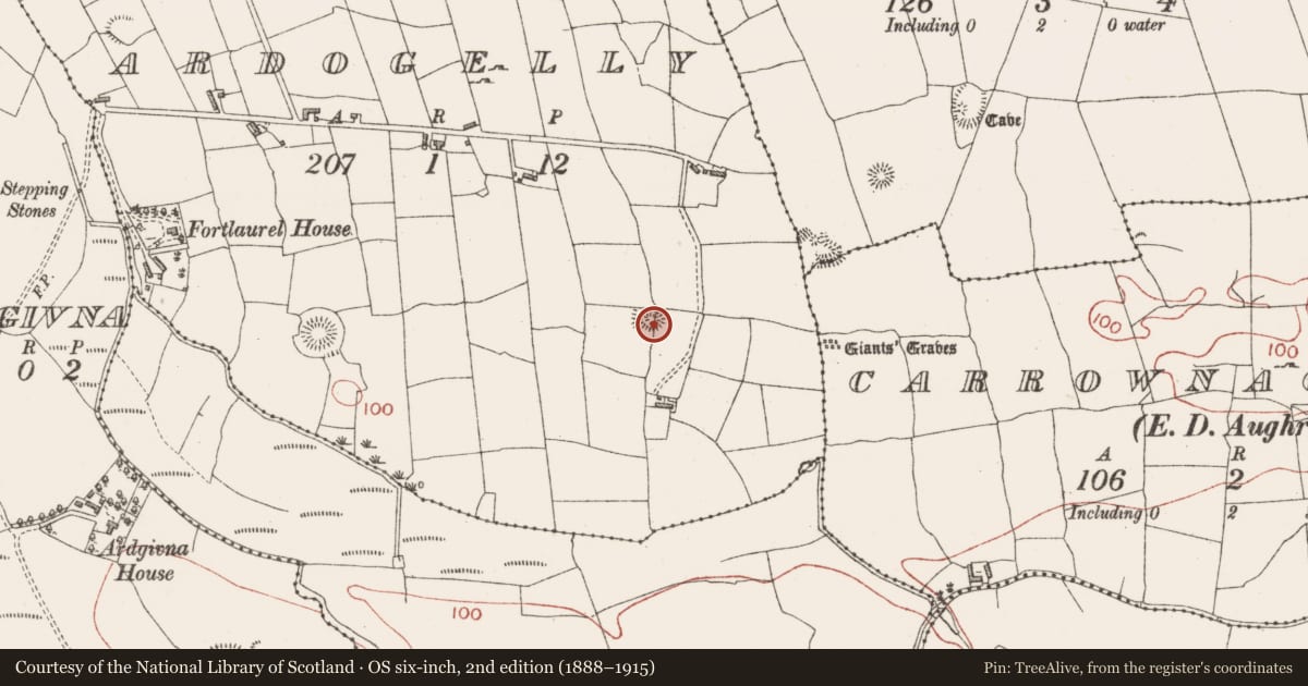 Ordnance Survey six-inch map, 2nd edition (1888–1915) covering the location of Ringfort - rath, Ardogelly, County Sligo, with a pin at the register's coordinates