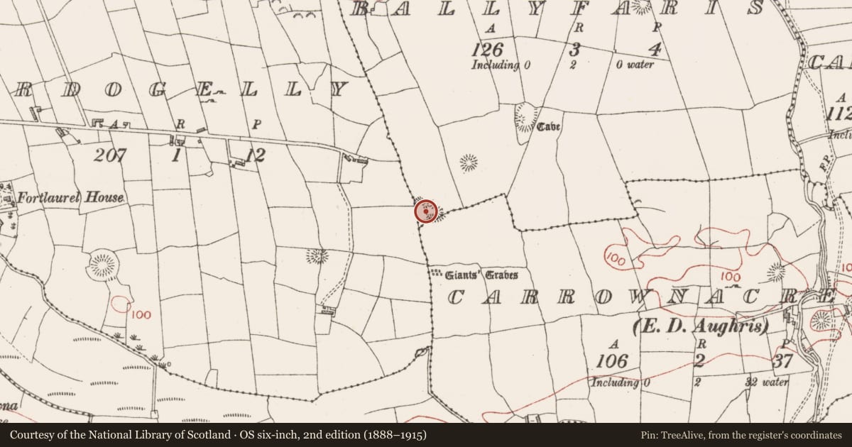 Ordnance Survey six-inch map, 2nd edition (1888–1915) covering the location of Enclosure, Ballyfaris, County Sligo, with a pin at the register's coordinates
