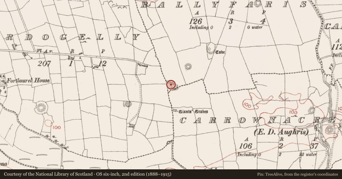 Ordnance Survey six-inch map, 2nd edition (1888–1915) covering the location of Hut site, Ballyfaris, County Sligo, with a pin at the register's coordinates