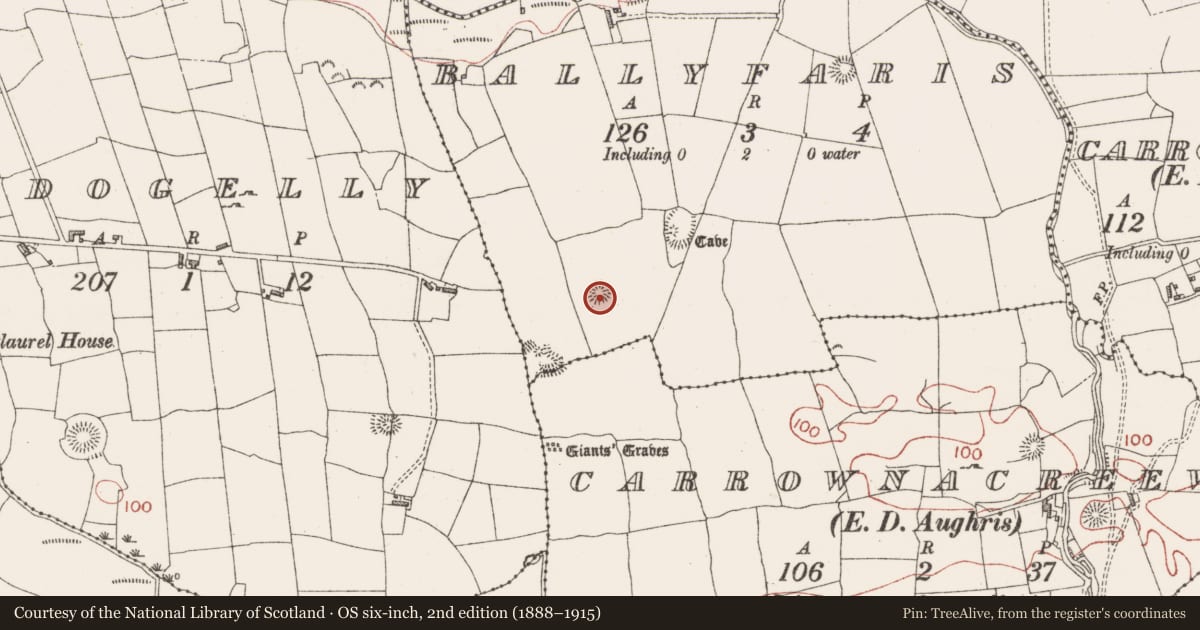 Ordnance Survey six-inch map, 2nd edition (1888–1915) covering the location of Ringfort - rath, Ballyfaris, County Sligo, with a pin at the register's coordinates