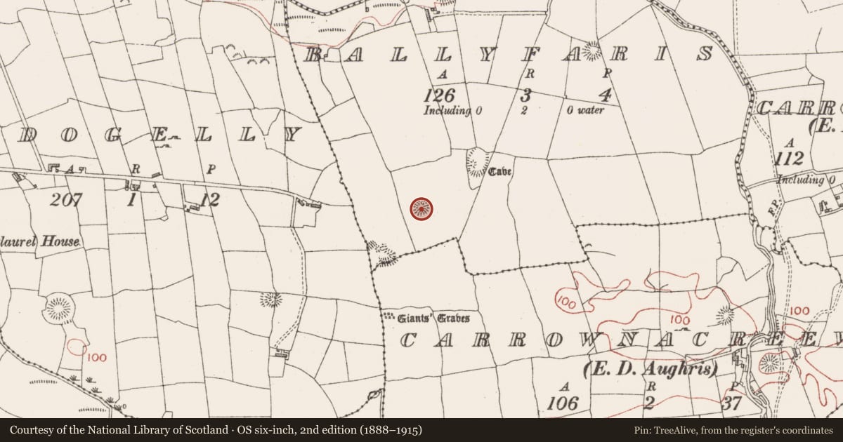 Ordnance Survey six-inch map, 2nd edition (1888–1915) covering the location of Hut site, Ballyfaris, County Sligo, with a pin at the register's coordinates