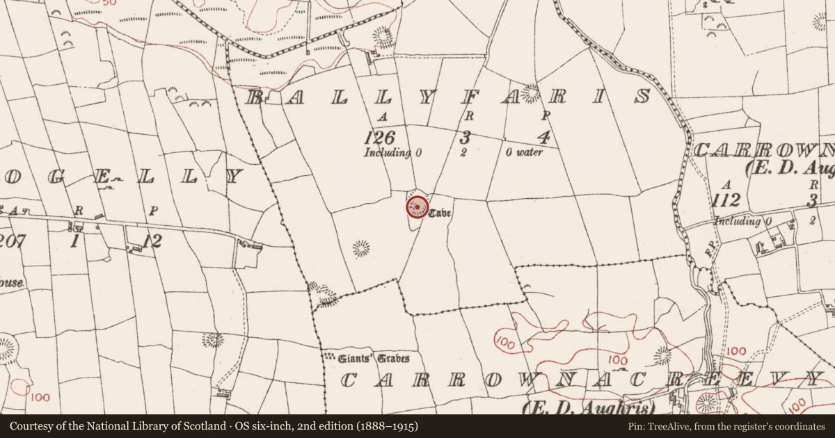 Ordnance Survey six-inch map, 2nd edition (1888–1915) covering the location of Ringfort - rath, Ballyfaris, County Sligo, with a pin at the register's coordinates