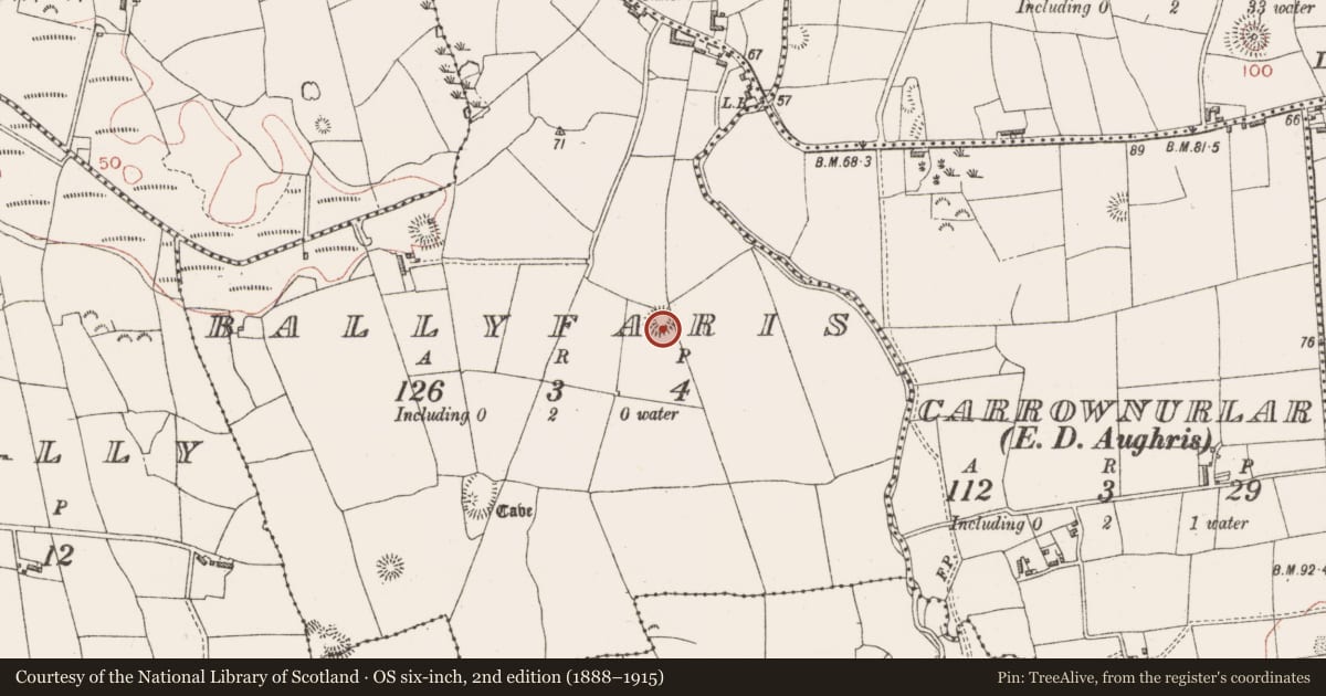 Ordnance Survey six-inch map, 2nd edition (1888–1915) covering the location of Ringfort - rath, Ballyfaris, County Sligo, with a pin at the register's coordinates