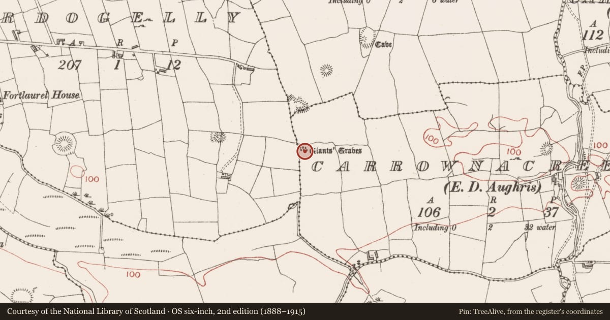 Ordnance Survey six-inch map, 2nd edition (1888–1915) covering the location of Megalithic tomb - unclassified, Carrownacreevy, County Sligo, with a pin at the register's coordinates