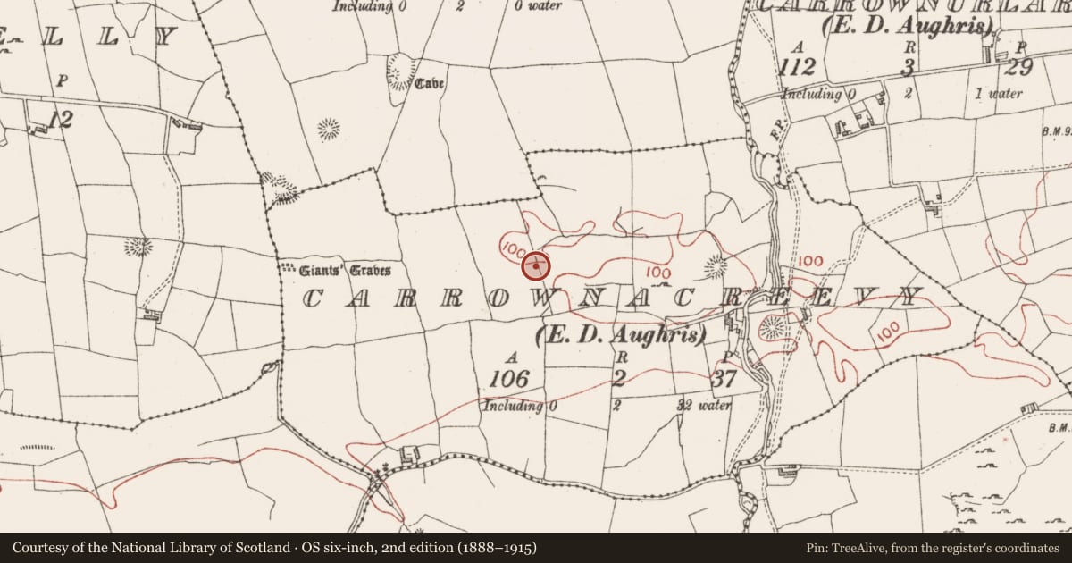 Ordnance Survey six-inch map, 2nd edition (1888–1915) covering the location of Enclosure, Carrownacreevy, County Sligo, with a pin at the register's coordinates