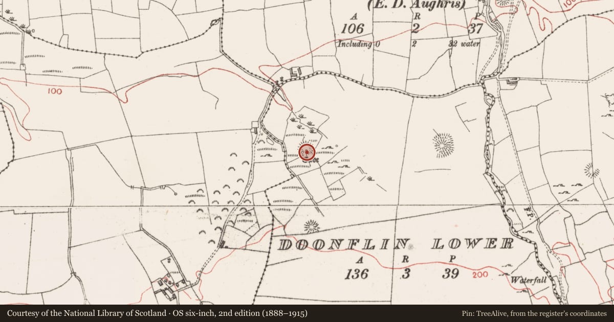 Ordnance Survey six-inch map, 2nd edition (1888–1915) covering the location of Souterrain, Doonflin Lower, County Sligo, with a pin at the register's coordinates
