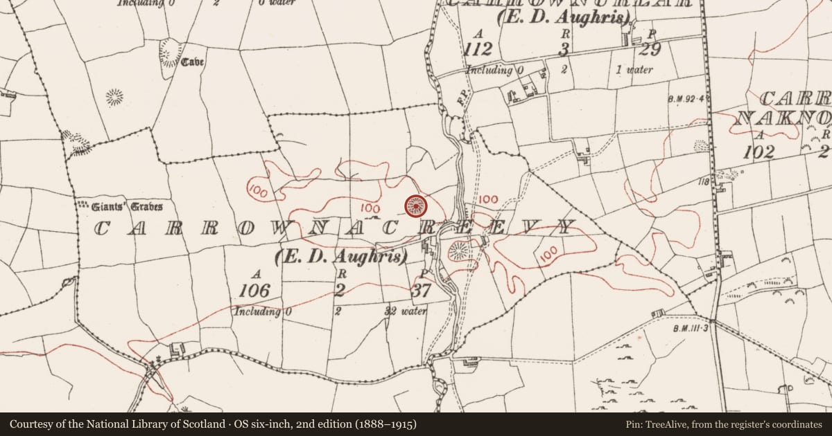 Ordnance Survey six-inch map, 2nd edition (1888–1915) covering the location of Enclosure, Carrownacreevy, County Sligo, with a pin at the register's coordinates