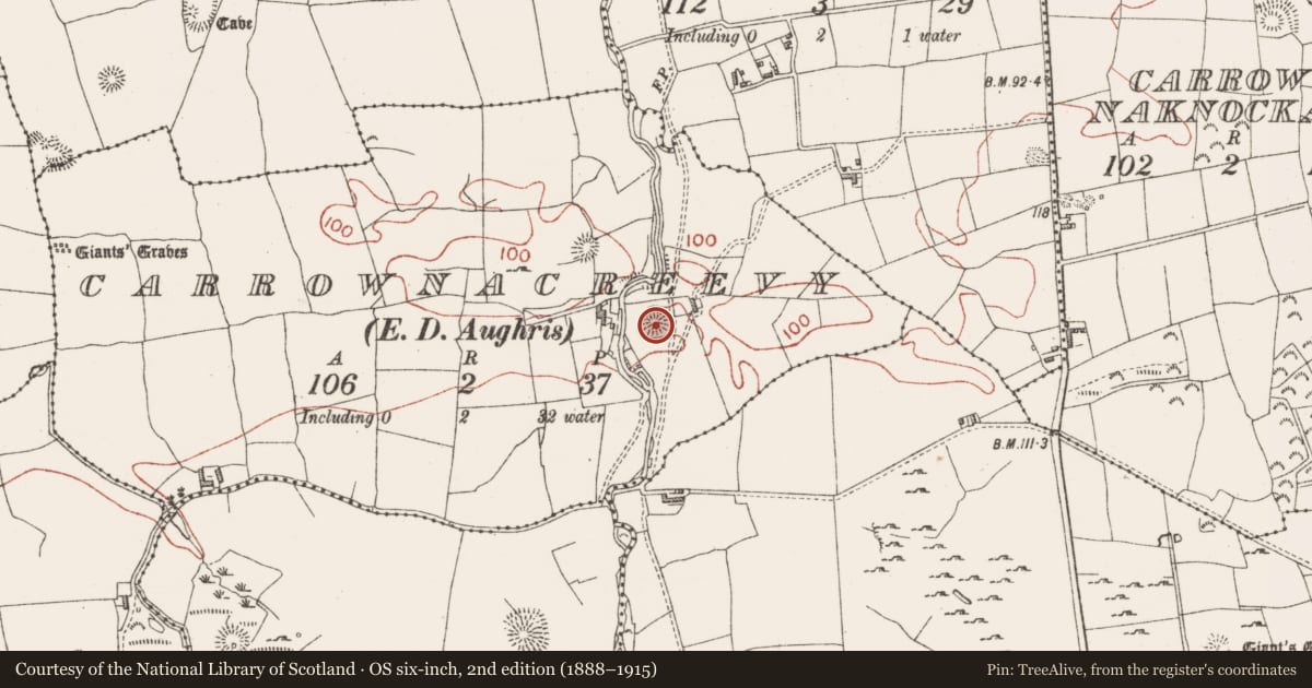 Ordnance Survey six-inch map, 2nd edition (1888–1915) covering the location of Ringfort - rath, Carrownacreevy, County Sligo, with a pin at the register's coordinates
