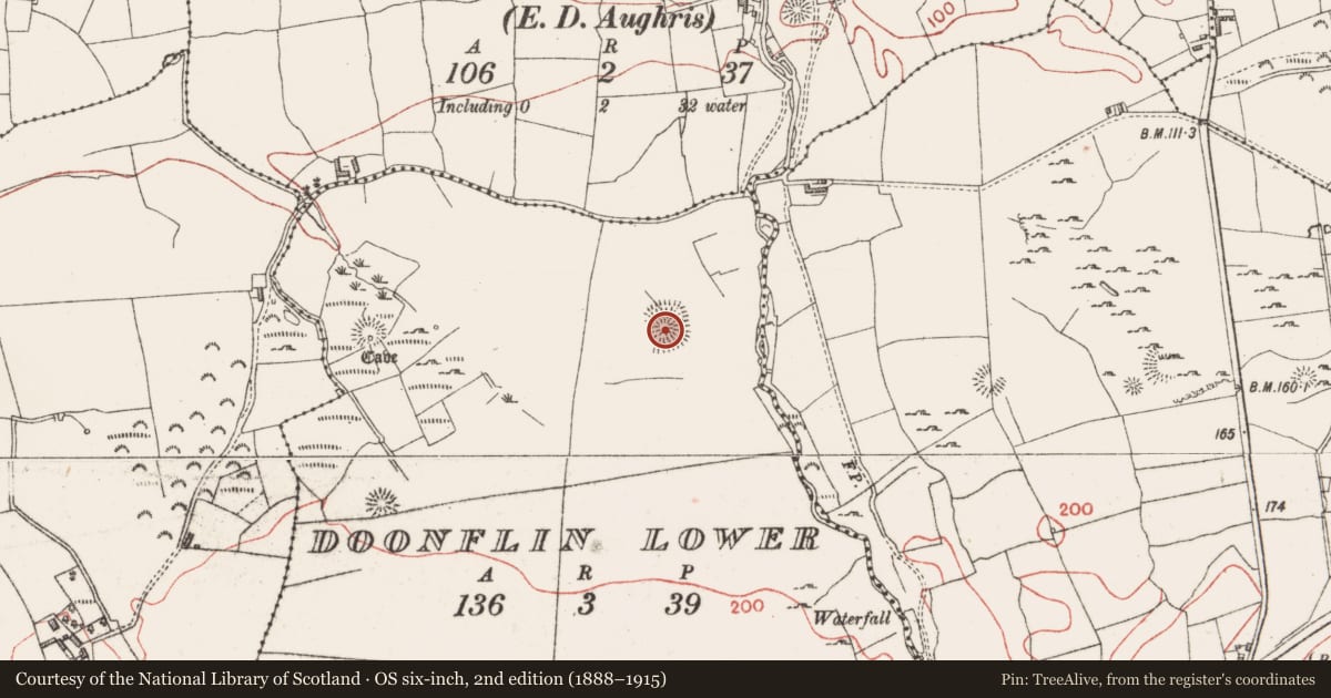 Ordnance Survey six-inch map, 2nd edition (1888–1915) covering the location of Ringfort - rath, Doonflin Lower, County Sligo, with a pin at the register's coordinates