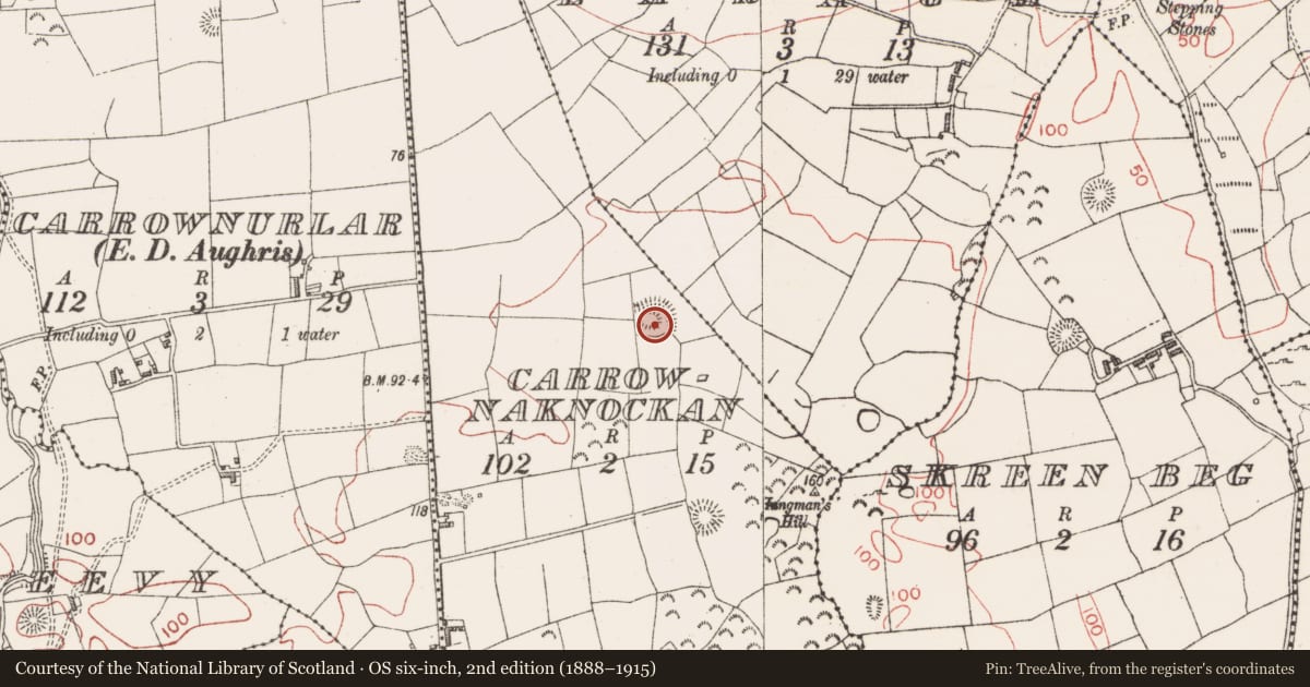 Ordnance Survey six-inch map, 2nd edition (1888–1915) covering the location of Enclosure, Carrownaknockan, County Sligo, with a pin at the register's coordinates
