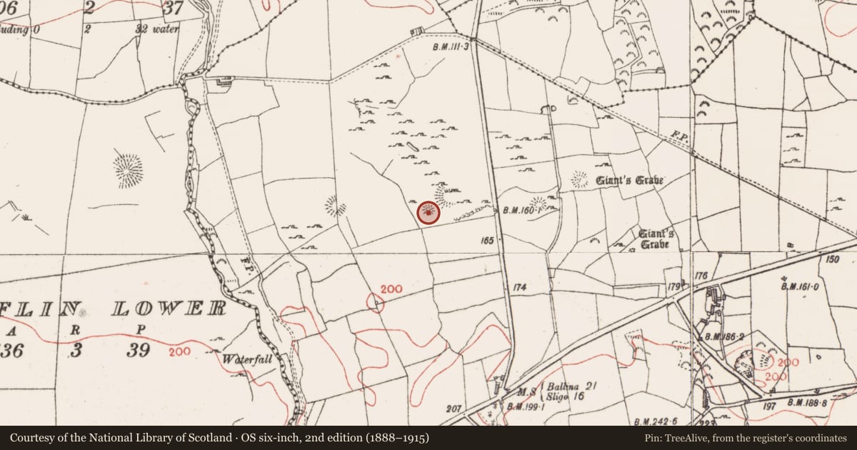 Ordnance Survey six-inch map, 2nd edition (1888–1915) covering the location of Barrow - mound barrow, Farranyharpy, County Sligo, with a pin at the register's coordinates