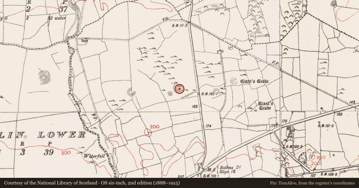 Ordnance Survey six-inch map, 2nd edition (1888–1915) covering the location of Ringfort - rath, Farranyharpy, County Sligo, with a pin at the register's coordinates