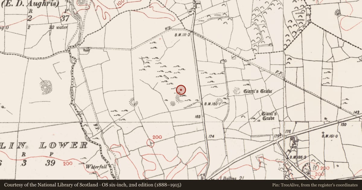 Ordnance Survey six-inch map, 2nd edition (1888–1915) covering the location of Field system, Farranyharpy, County Sligo, with a pin at the register's coordinates