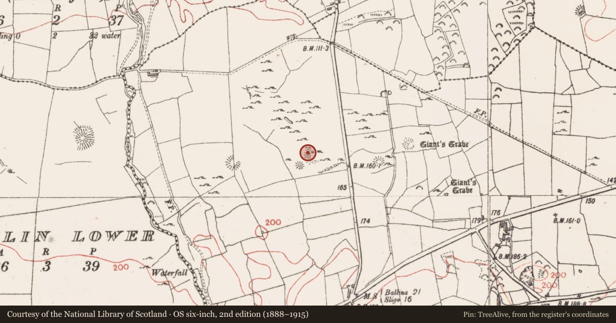Ordnance Survey six-inch map, 2nd edition (1888–1915) covering the location of Enclosure, Farranyharpy, County Sligo, with a pin at the register's coordinates