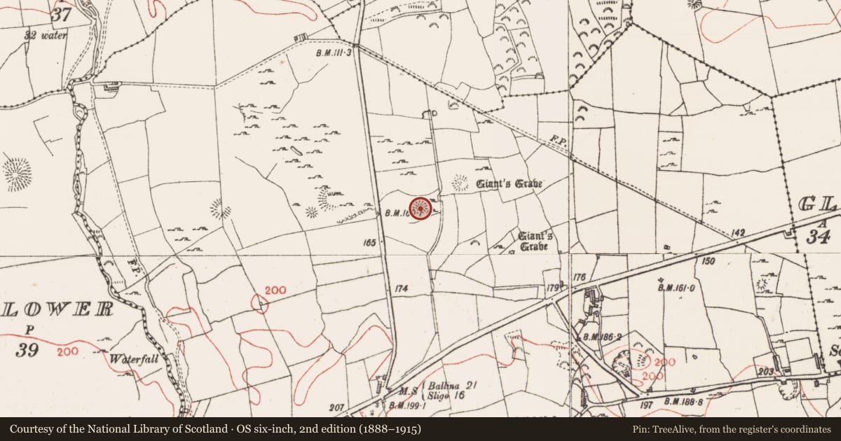 Ordnance Survey six-inch map, 2nd edition (1888–1915) covering the location of Ringfort - rath, Farranyharpy, County Sligo, with a pin at the register's coordinates
