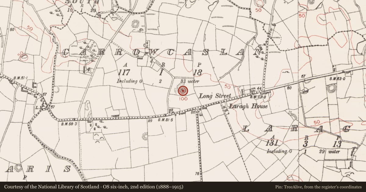 Ordnance Survey six-inch map, 2nd edition (1888–1915) covering the location of Castle - ringwork and bailey, Carrowcaslan, County Sligo, with a pin at the register's coordinates