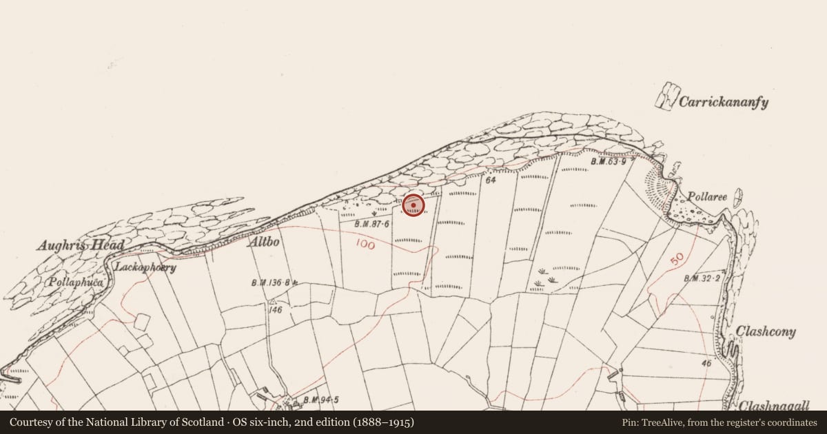 Ordnance Survey six-inch map, 2nd edition (1888–1915) covering the location of Ritual site - holy well, Aughris, County Sligo, with a pin at the register's coordinates