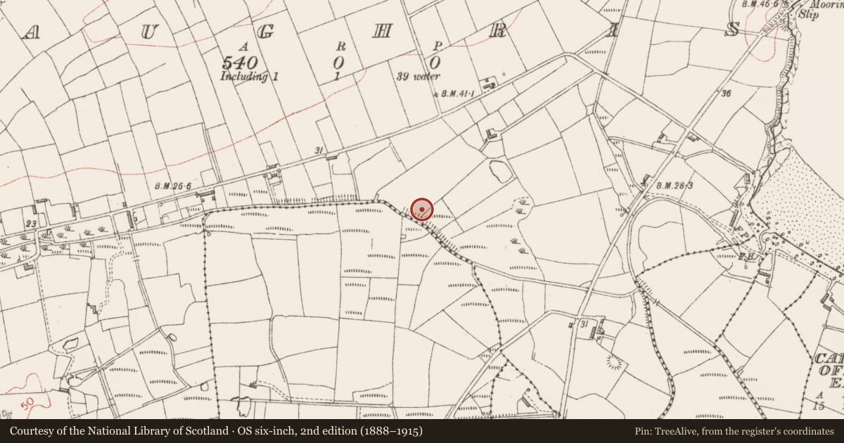 Ordnance Survey six-inch map, 2nd edition (1888–1915) covering the location of Enclosure, Aughris, County Sligo, with a pin at the register's coordinates