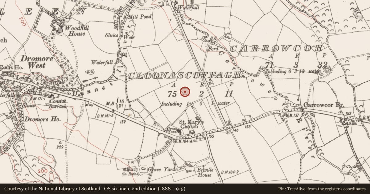 Ordnance Survey six-inch map, 2nd edition (1888–1915) covering the location of Ringfort - rath, Cloonascoffagh, County Sligo, with a pin at the register's coordinates