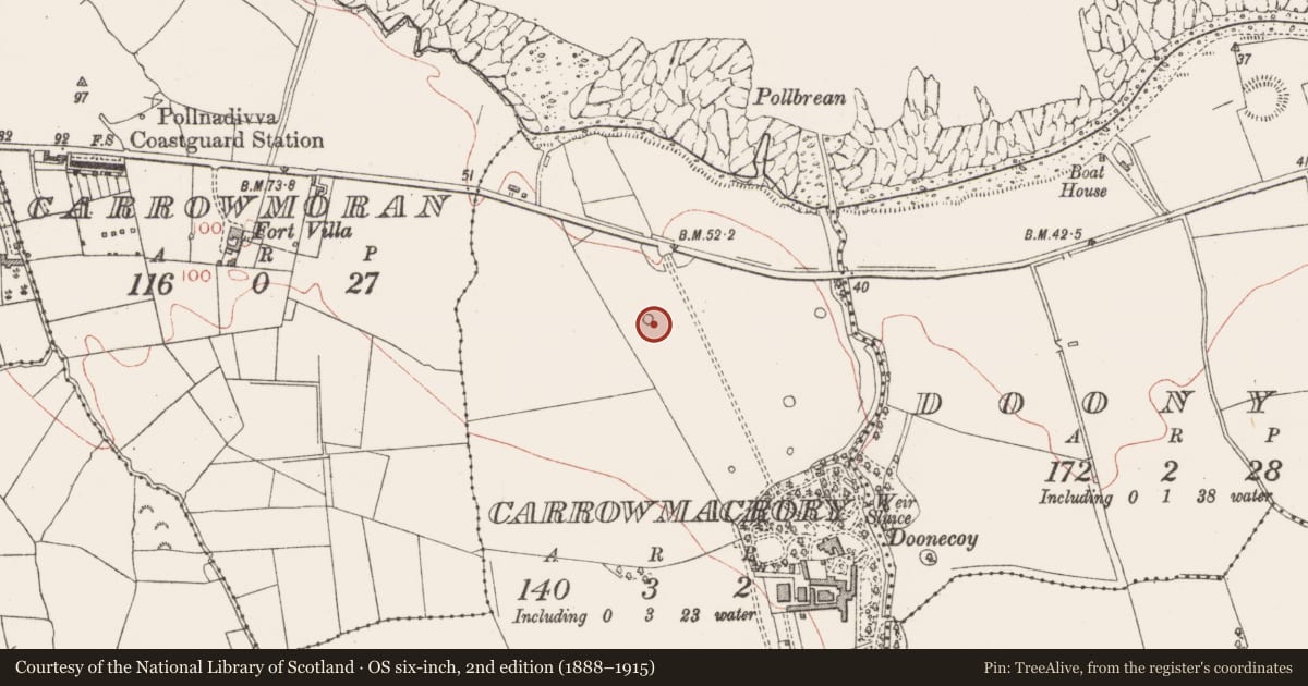 Ordnance Survey six-inch map, 2nd edition (1888–1915) covering the location of Designed landscape - tree-ring, Carrowmacrory, County Sligo, with a pin at the register's coordinates