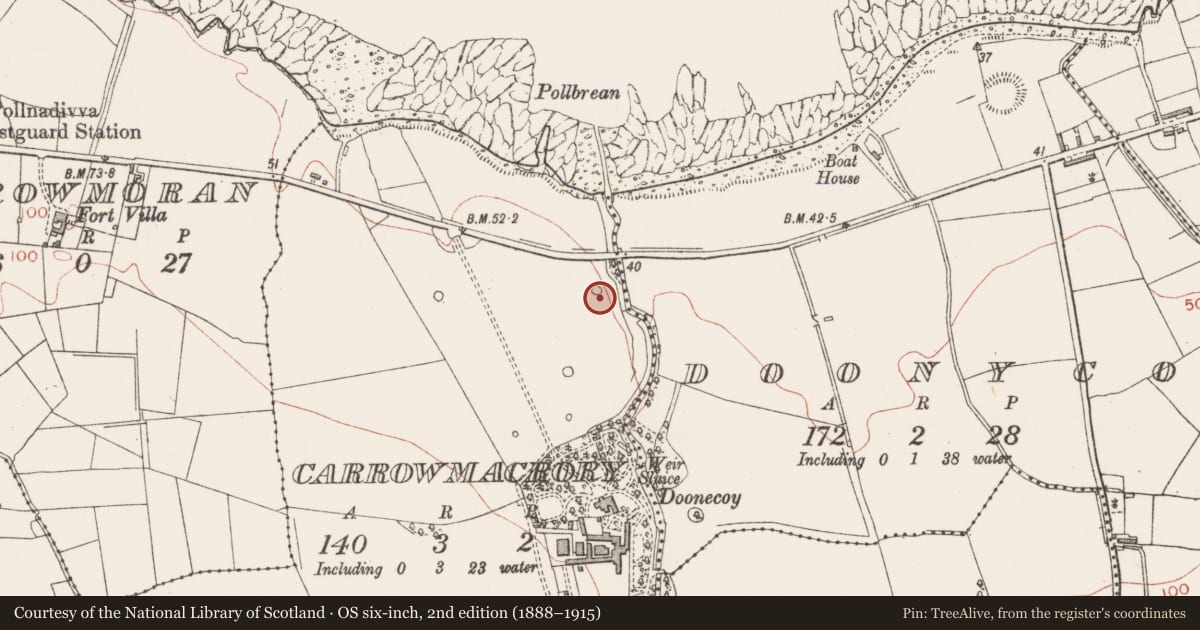 Ordnance Survey six-inch map, 2nd edition (1888–1915) covering the location of Designed landscape - tree-ring, Carrowmacrory, County Sligo, with a pin at the register's coordinates