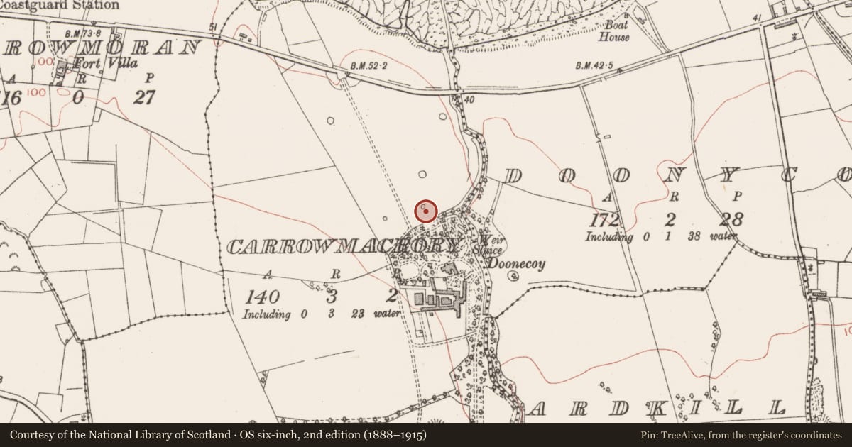 Ordnance Survey six-inch map, 2nd edition (1888–1915) covering the location of Designed landscape - tree-ring, Carrowmacrory, County Sligo, with a pin at the register's coordinates