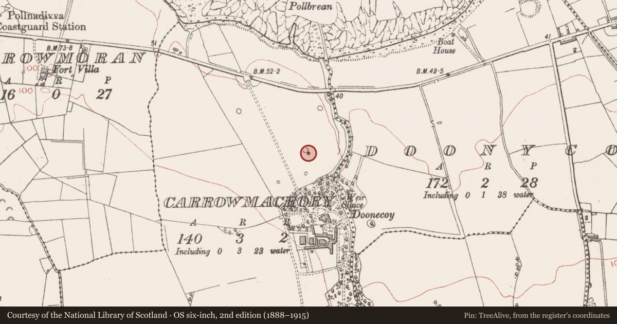 Ordnance Survey six-inch map, 2nd edition (1888–1915) covering the location of Designed landscape - tree-ring, Carrowmacrory, County Sligo, with a pin at the register's coordinates