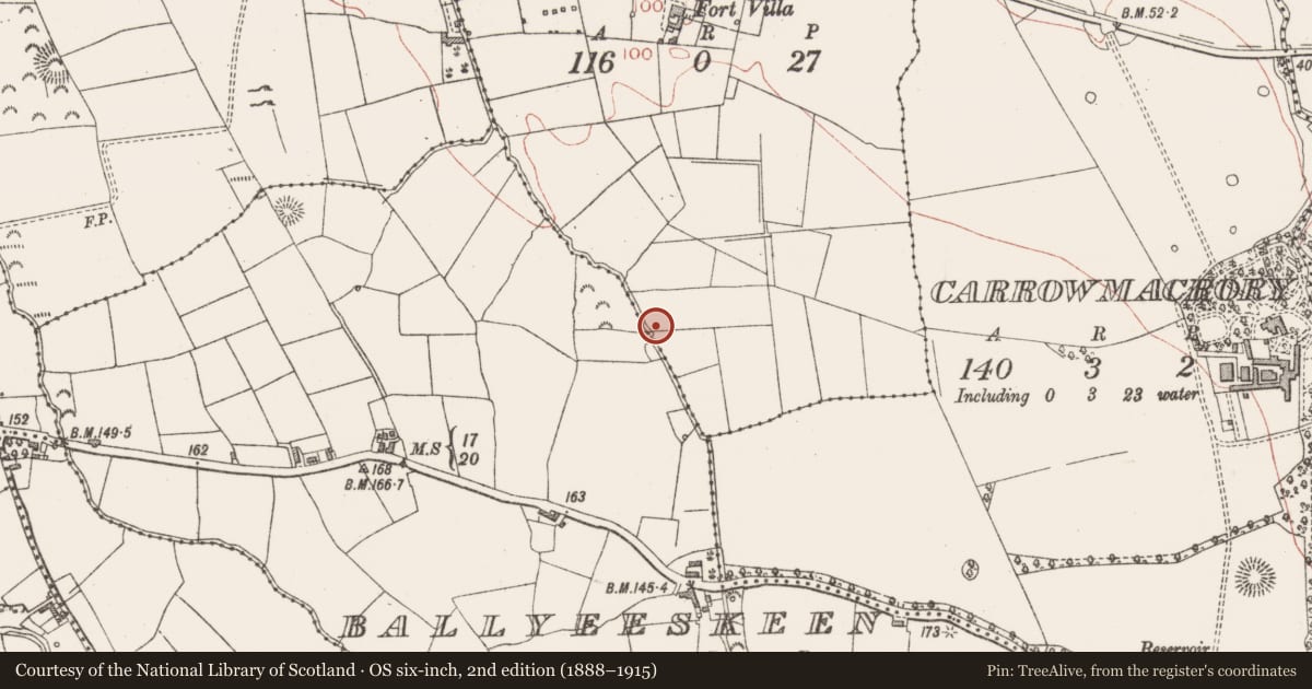 Ordnance Survey six-inch map, 2nd edition (1888–1915) covering the location of Fulacht fia, Carrowmoran, County Sligo, with a pin at the register's coordinates