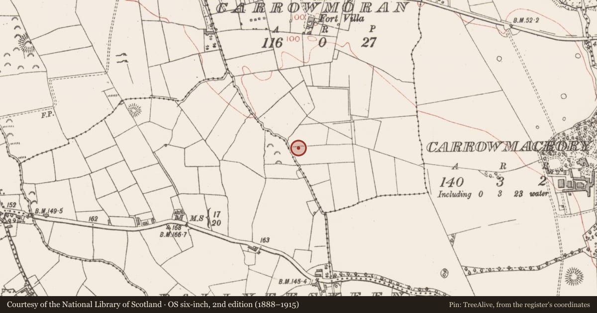Ordnance Survey six-inch map, 2nd edition (1888–1915) covering the location of Burnt mound, Carrowmoran, County Sligo, with a pin at the register's coordinates