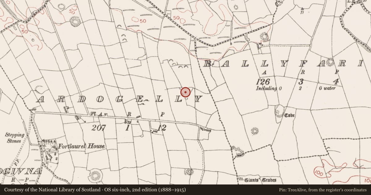 Ordnance Survey six-inch map, 2nd edition (1888–1915) covering the location of Enclosure, Ardogelly, County Sligo, with a pin at the register's coordinates