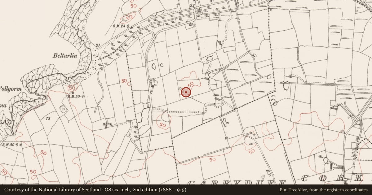 Ordnance Survey six-inch map, 2nd edition (1888–1915) covering the location of Ringfort - rath, Aughris, County Sligo, with a pin at the register's coordinates