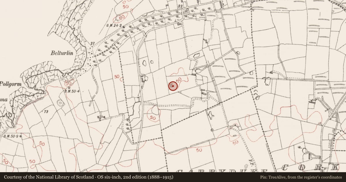 Ordnance Survey six-inch map, 2nd edition (1888–1915) covering the location of Stone sculpture, Aughris, County Sligo, with a pin at the register's coordinates