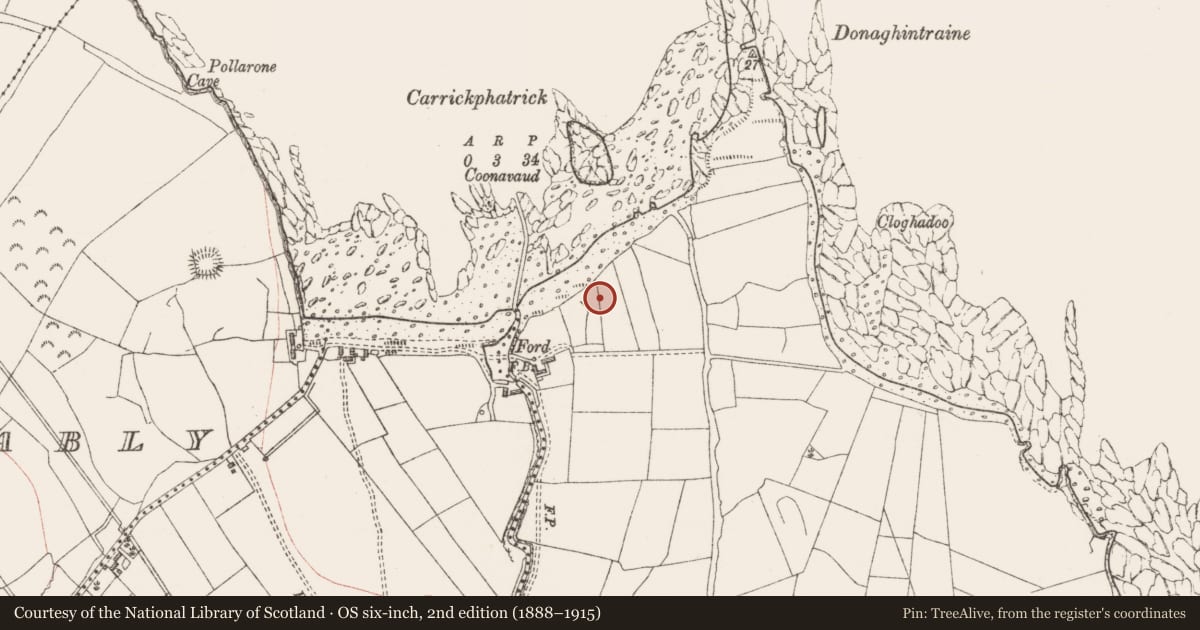 Ordnance Survey six-inch map, 2nd edition (1888–1915) covering the location of Barrow - unclassified, Donaghintraine, County Sligo, with a pin at the register's coordinates