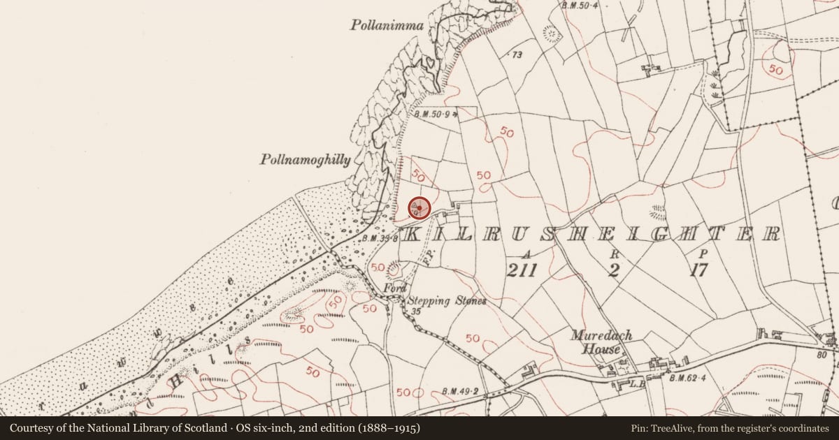 Ordnance Survey six-inch map, 2nd edition (1888–1915) covering the location of Megalithic tomb - passage tomb, Kilrusheighter, County Sligo, with a pin at the register's coordinates