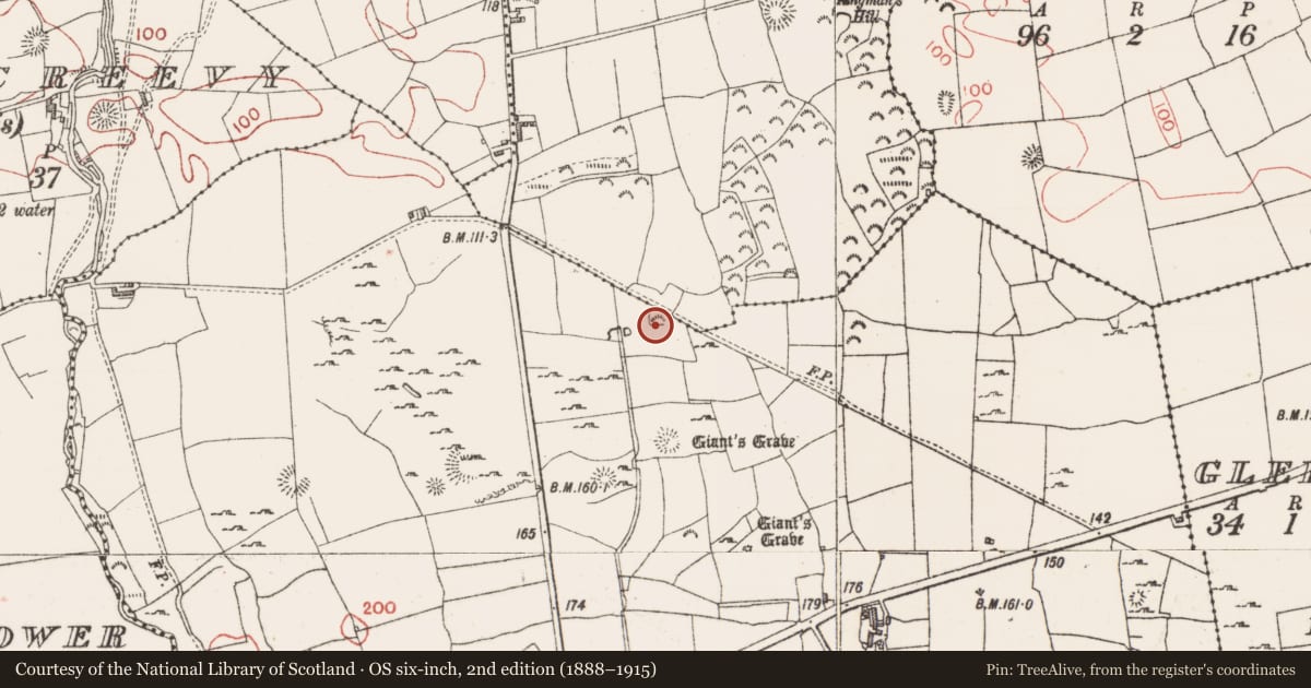 Ordnance Survey six-inch map, 2nd edition (1888–1915) covering the location of Megalithic tomb - passage tomb, Farranyharpy, County Sligo, with a pin at the register's coordinates